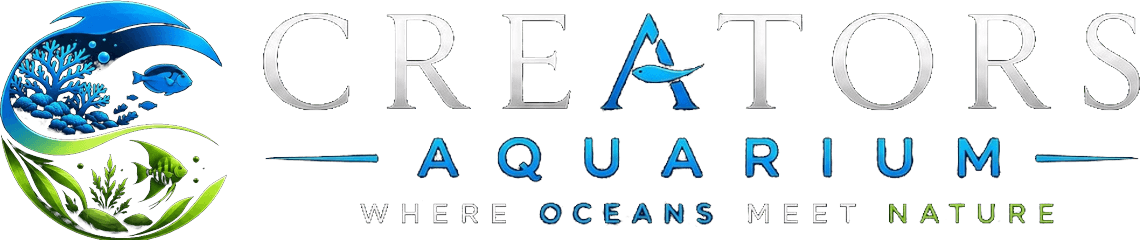 Creators Aquarium - Where Oceans Meet Nature
